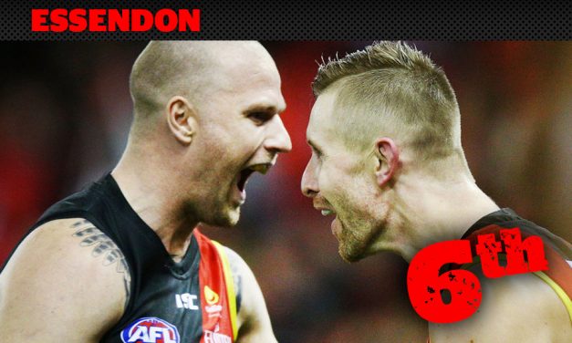 FOOTYOLOGY COUNTDOWN: Can Dons deliver on hype?