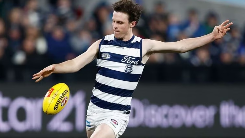 Tale of the tape for your AFL team: Geelong
