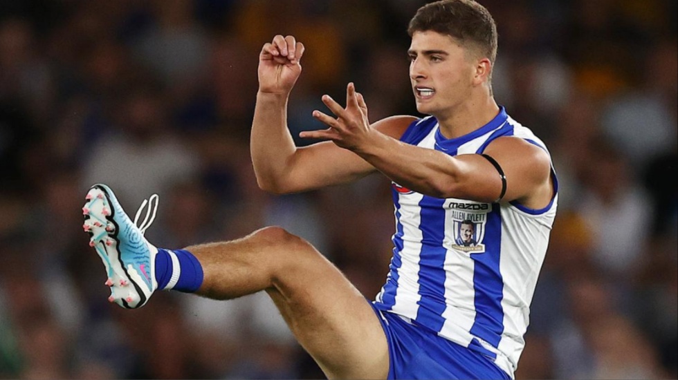 Tale of the tape for your AFL team: North Melbourne