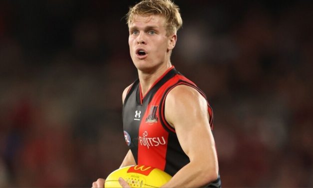 Tale of the tape for your AFL team: Essendon