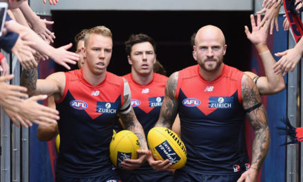 Tale of the tape for your AFL team in 2019: Melbourne