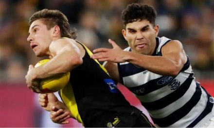 Deja vu again as Cats creep up on the competition