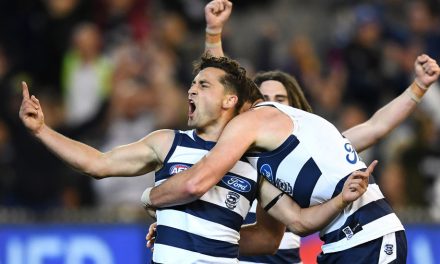 Fast start sets Cats up to storm home