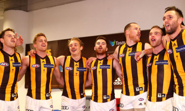 Tale of the tape for your AFL team in 2019: Hawthorn