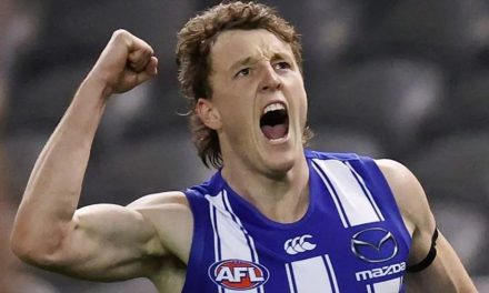 Tale of the tape for your team: North Melbourne