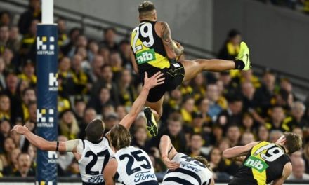 Tale of the tape for your AFL team in 2022: Richmond