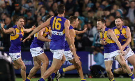 Tale of the tape for your AFL team in 2018: West Coast