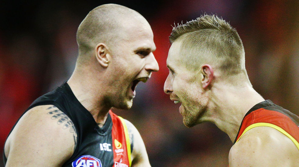 Tale of the tape for your AFL team in 2019: Essendon