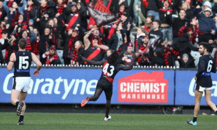 Tale of the tape for your AFL team in 2018: Essendon