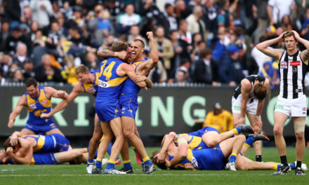 Tale of the tape for your AFL team in 2019: West Coast